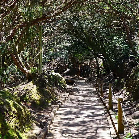 Halley דירה אל מדאנו