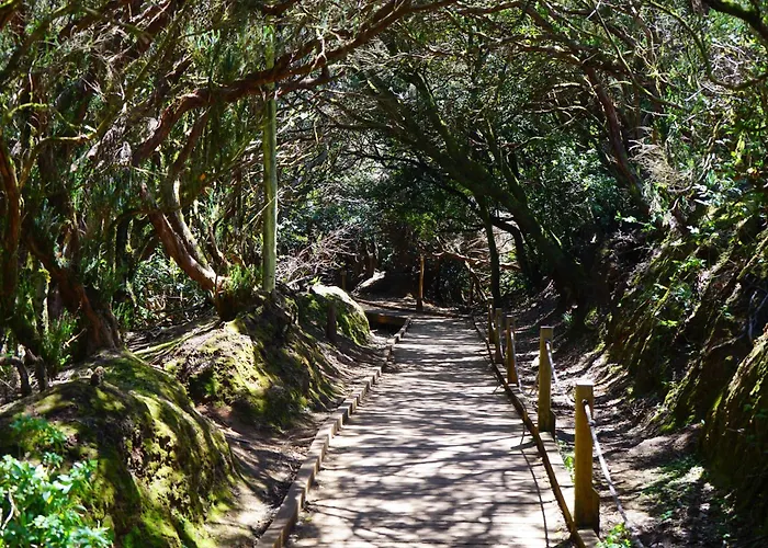 Halley דירה אל מדאנו